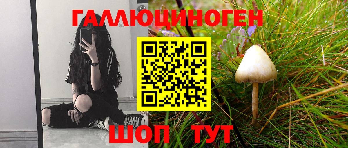 Югорск  Псилоцибиновые грибы Magic Shrooms  Вход с VPN  Галлюциногенные грибы Magic Shrooms 
